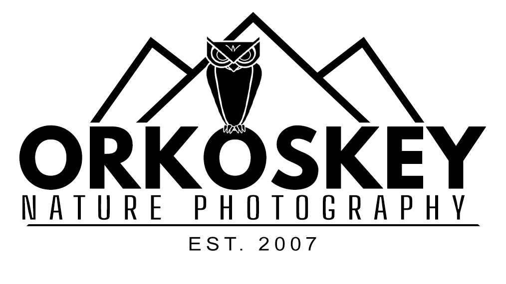 Don Orkoskey Nature Photographer